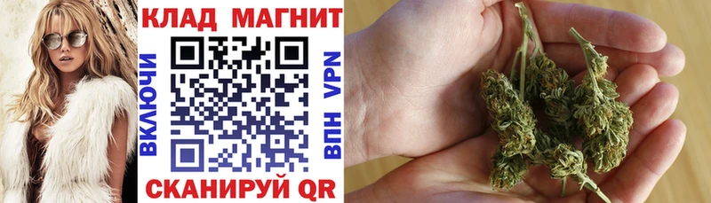 Как найти закладки Горбатов Гашиш  Марихуана  A PVP  Амфетамин  Codein  Мефедрон 