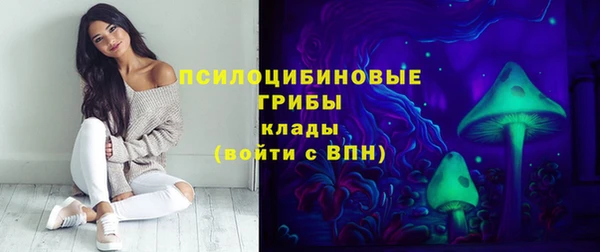 не бодяженный Алзамай