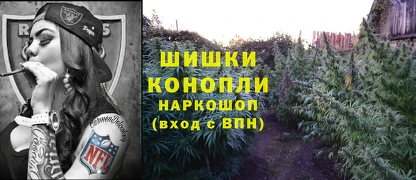 трава Абаза