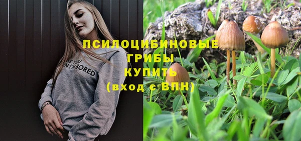 спайс Алексин