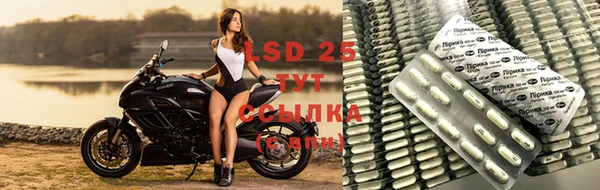 трава Абаза