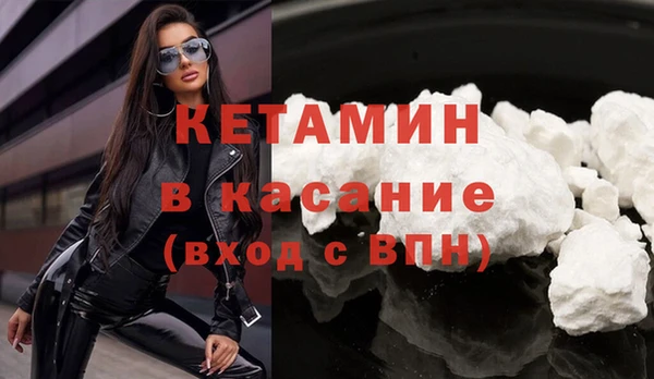 трава Абаза