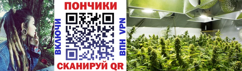 Канабис планчик  Горбатов 
